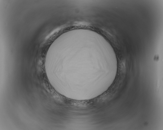 X0000111031254200907231612