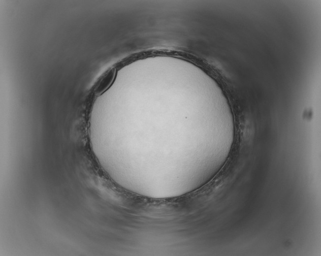 X0000111031256200907231612