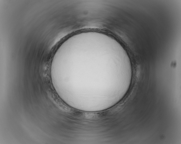 X0000111031258200907231612