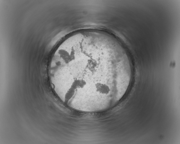 X0000111031259200907231612