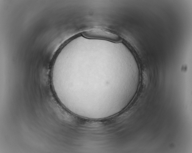 X0000111031260200907231612