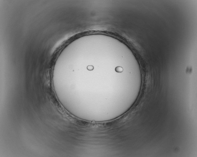 X0000111031262200907231612