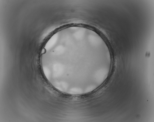 X0000111031263200907231612