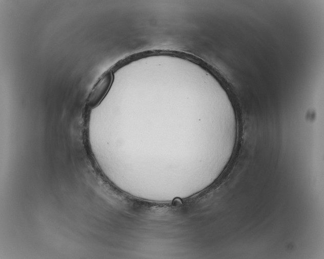 X0000111031264200907231612