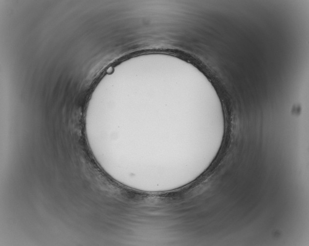 X0000111031265200907231612