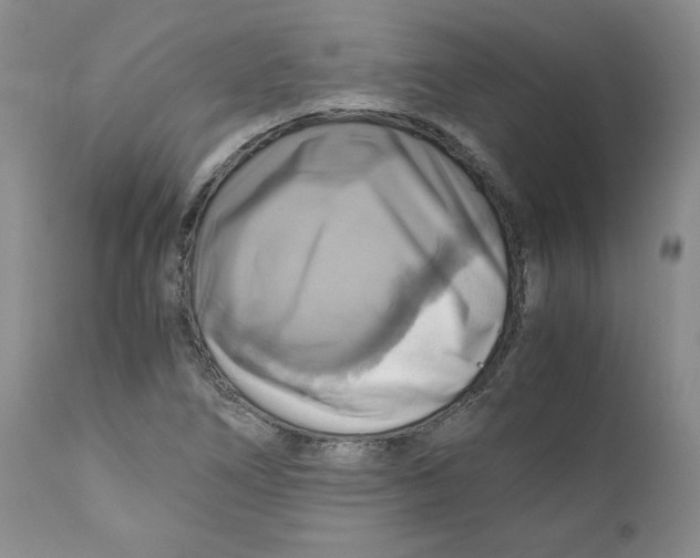 X0000111031266200907231612