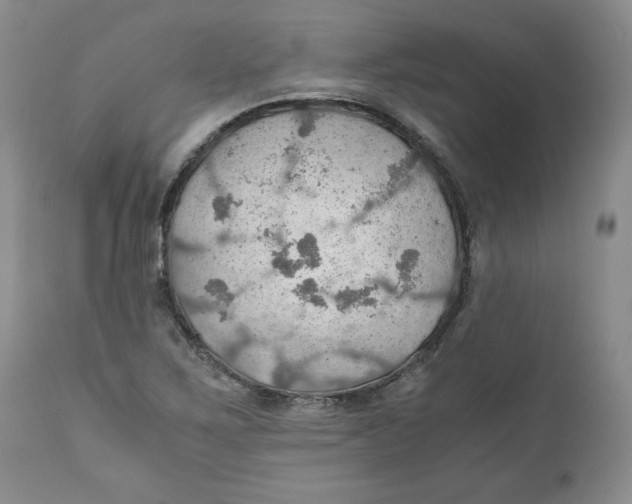 X0000111031267200907231612