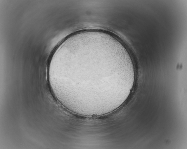 X0000111031269200907231612