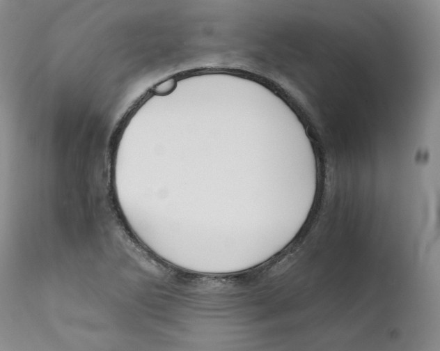 X0000111031270200907231612