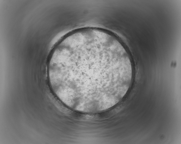 X0000111031271200907231612