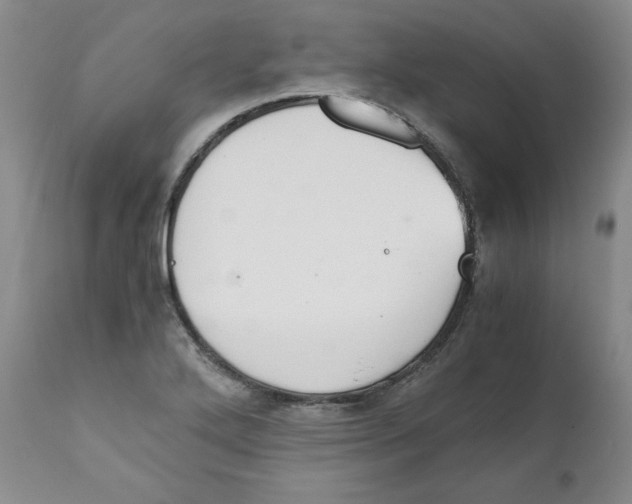 X0000111031272200907231612