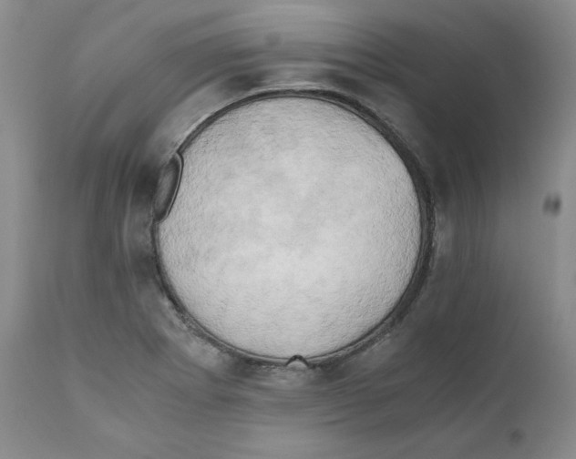 X0000111031273200907231612