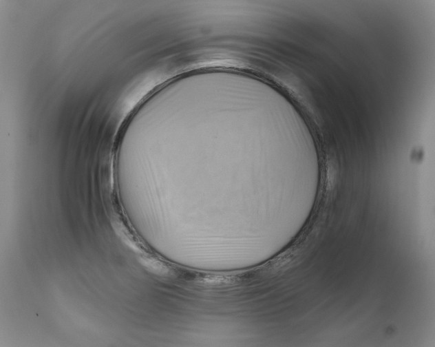 X0000111031274200907231612