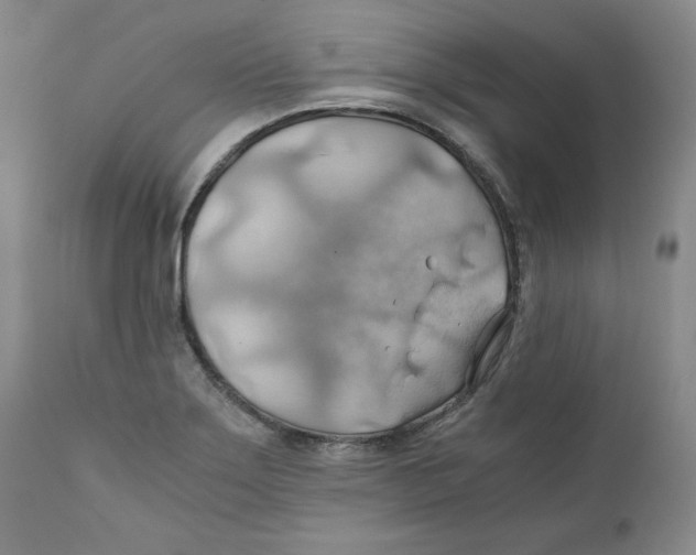 X0000111031275200907231612