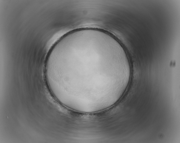 X0000111031277200907231612