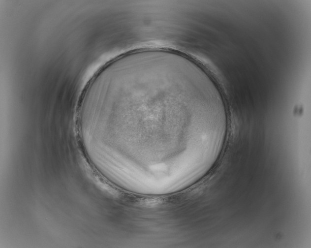 X0000111031278200907231612