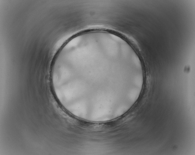 X0000111031279200907231612