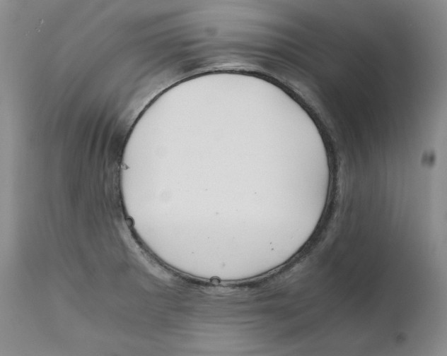 X0000111031281200907231611