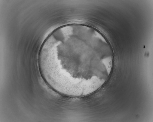 X0000111031283200907231611