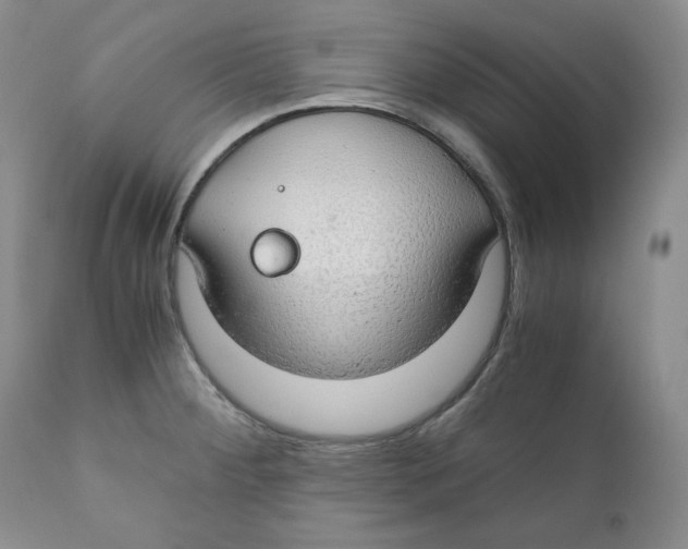 X0000111031284200907231611