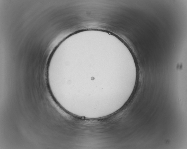 X0000111031285200907231611