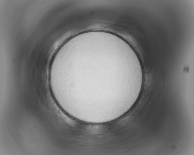 X0000111031286200907231611