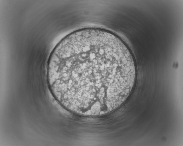 X0000111031287200907231611