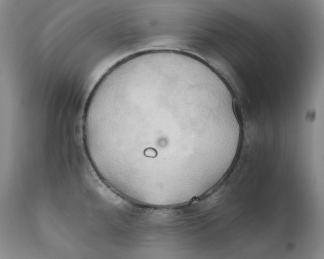 X0000111031288200907231611