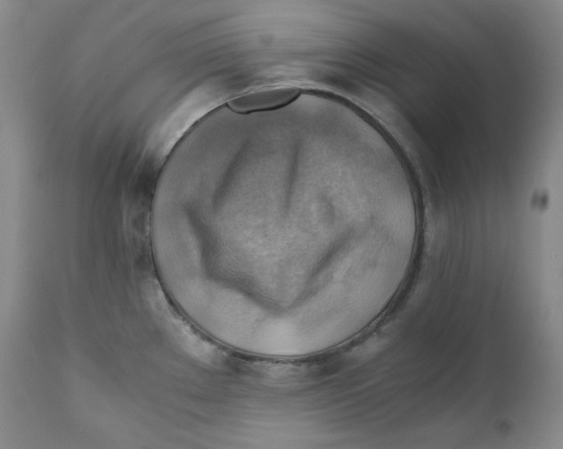 X0000111031289200907231611