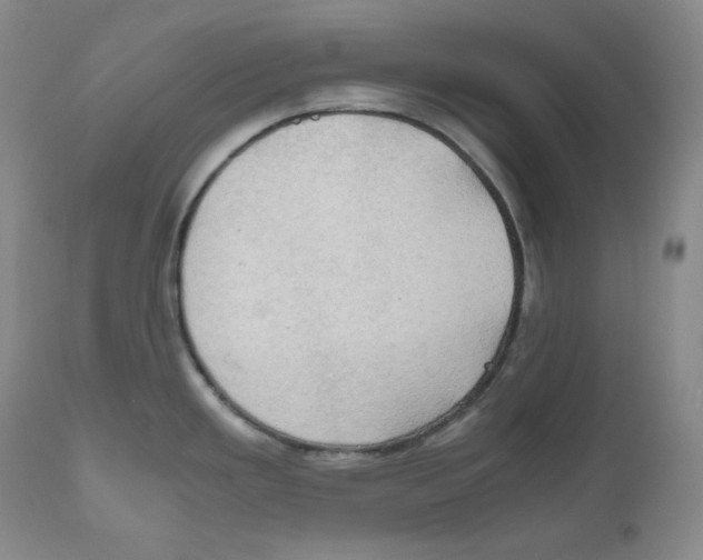 X0000111031293200907231611