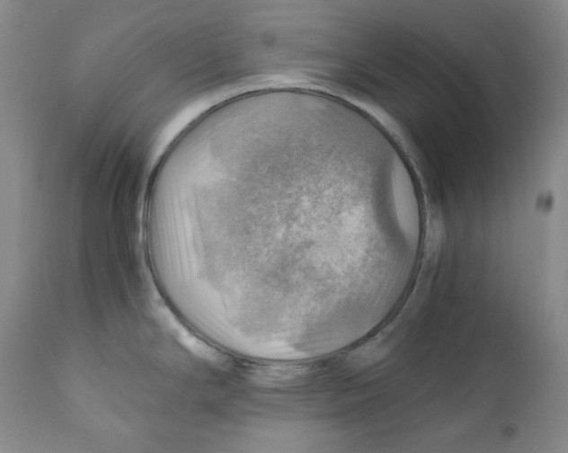 X0000111031294200907231611