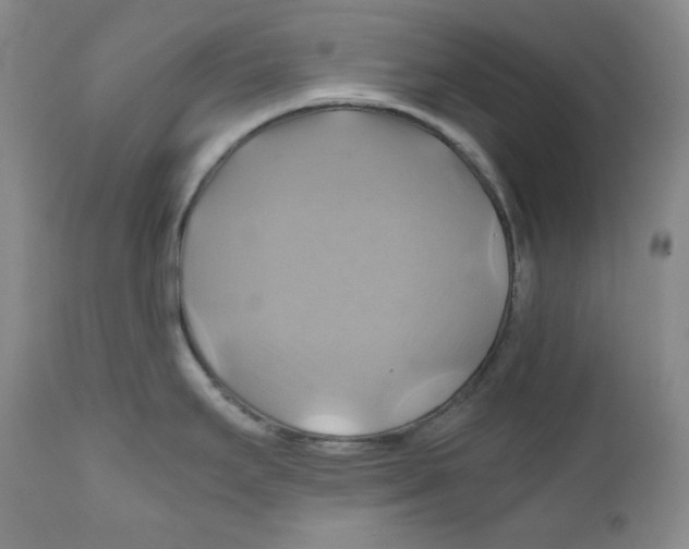 X0000111031295200907231611