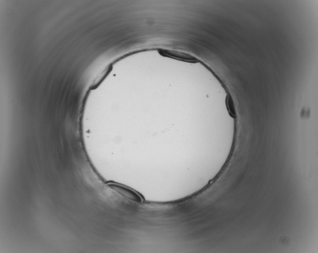 X0000111031296200907231611