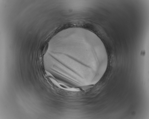 X0000111031298200907231611