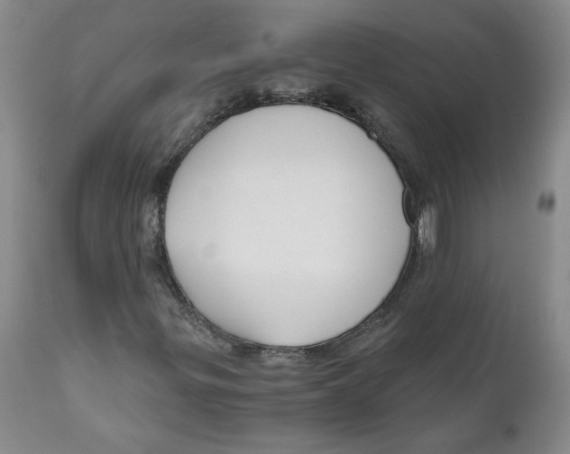 X0000111031299200907231611