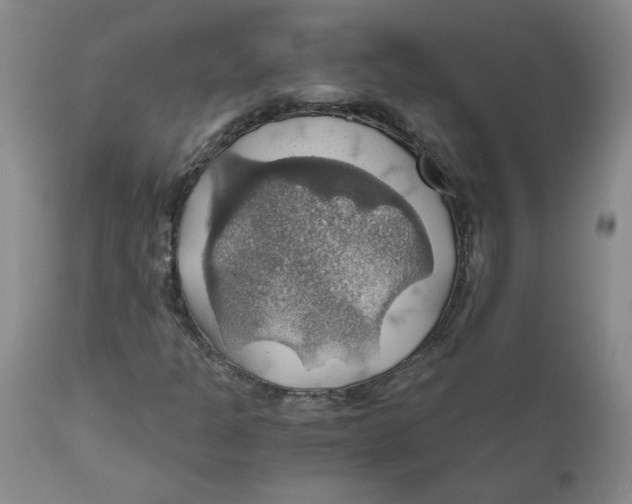 X0000111031301200907231611