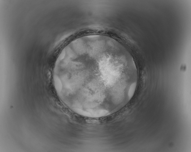 X0000111031302200907231611