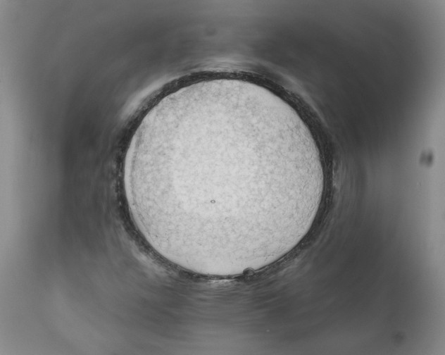 X0000111031304200907231611