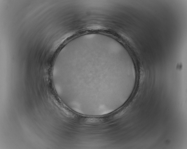 X0000111031305200907231611