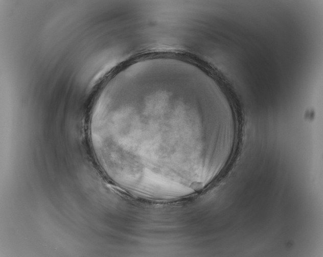 X0000111031306200907231611