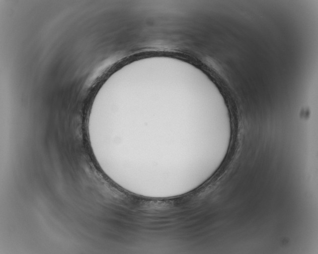 X0000111031307200907231611