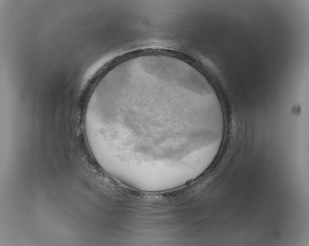 X0000111031310200907231611