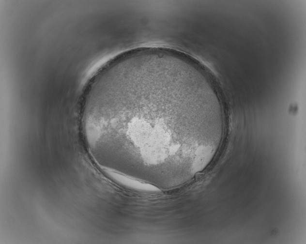 X0000111031311200907231611