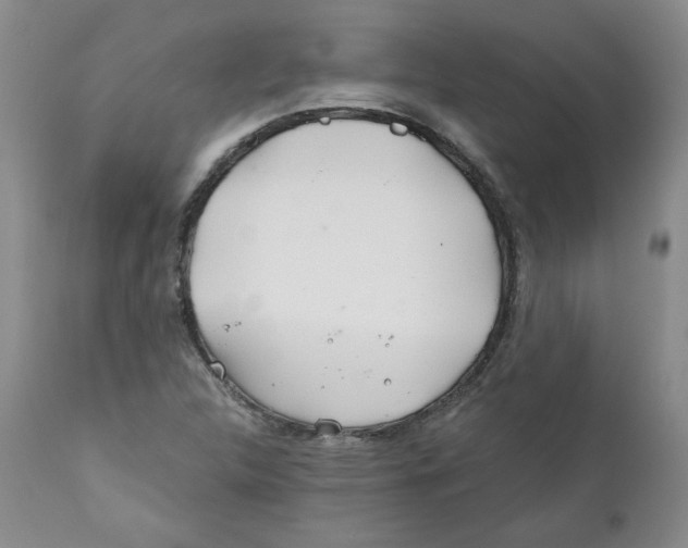 X0000111031312200907231611