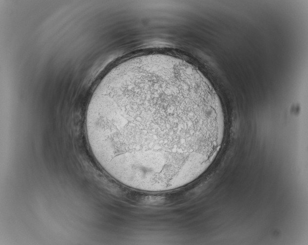 X0000111031313200907231611