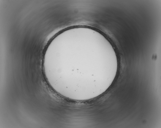 X0000111031316200907231611