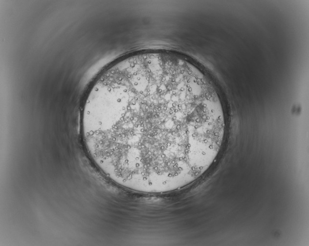 X0000111031317200907231611