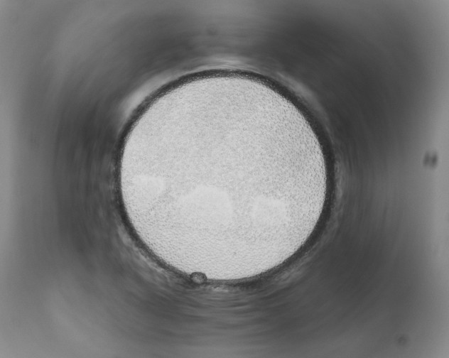 X0000111031318200907231611