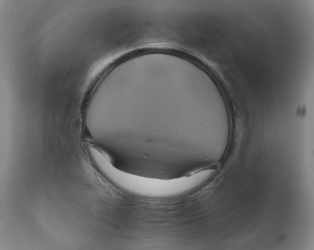 X0000111031319200907231611