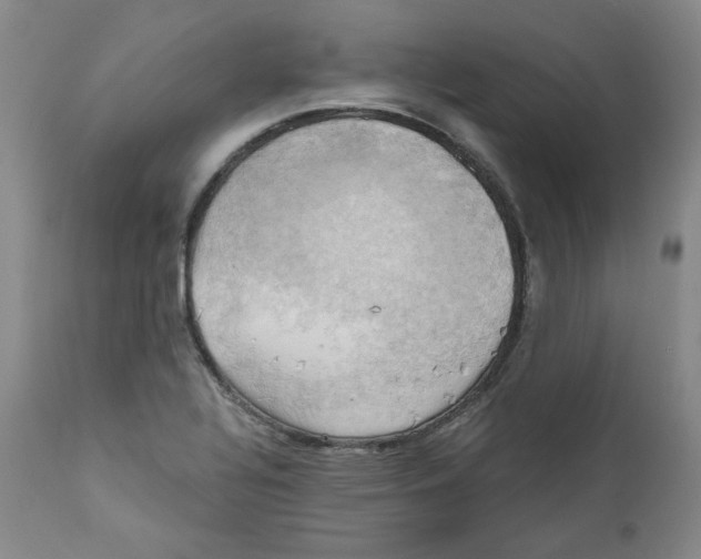 X0000111031320200907231611